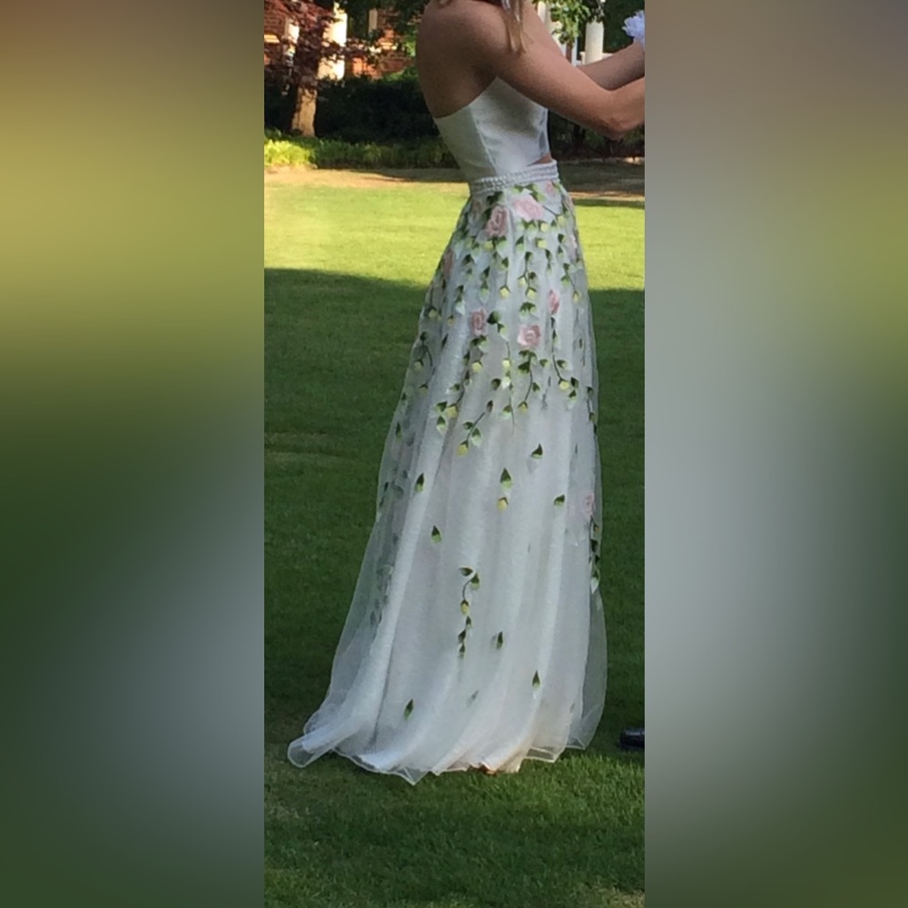 Prom Dress - Picture 2 of 3